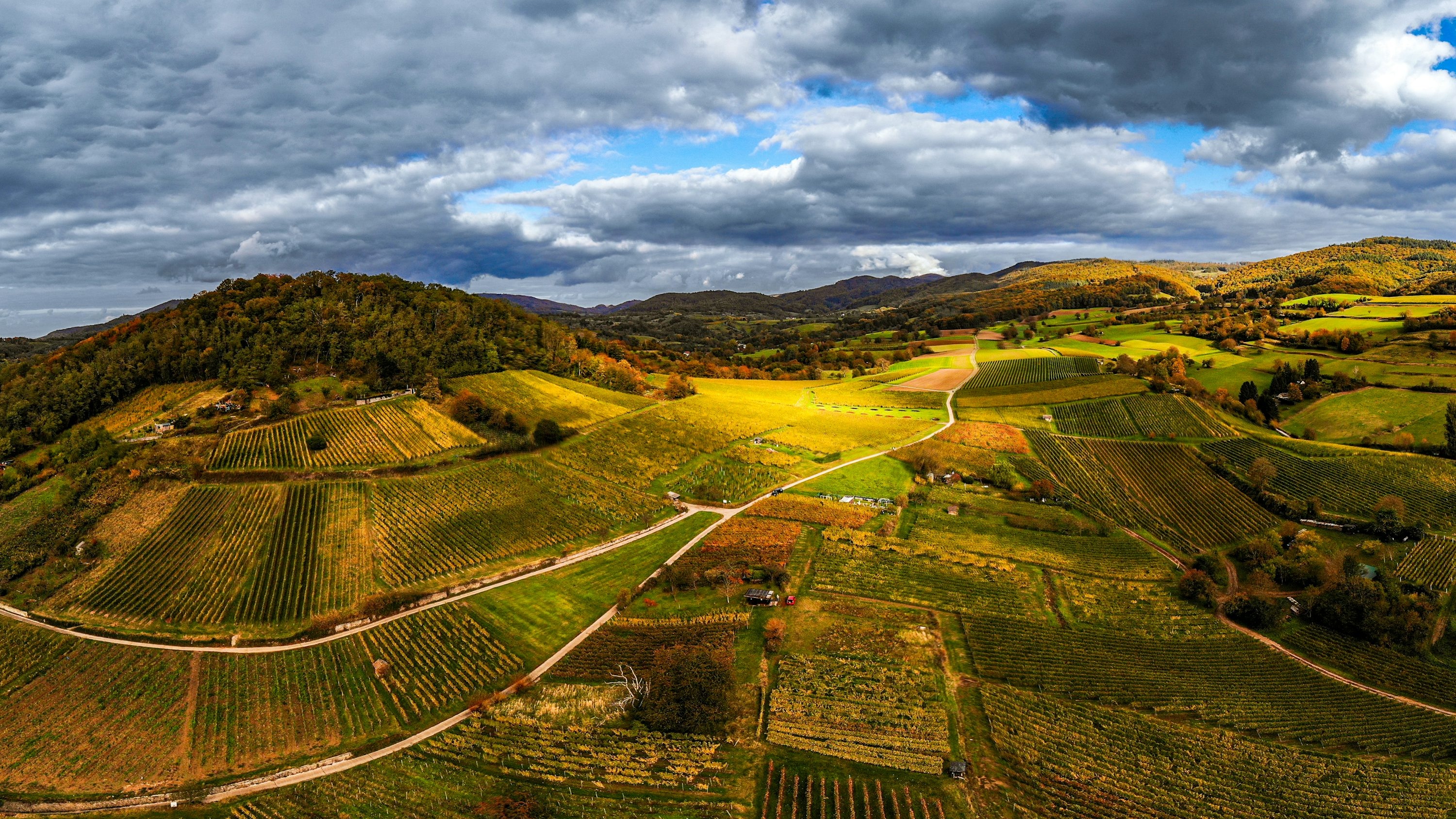 Understanding Terroir: How Nova Scotia's Unique Geography Shapes Its Wines