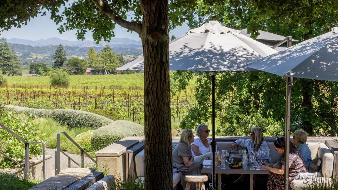 Nova Scotia's Best Winery Experiences: Beyond the Tasting Room
